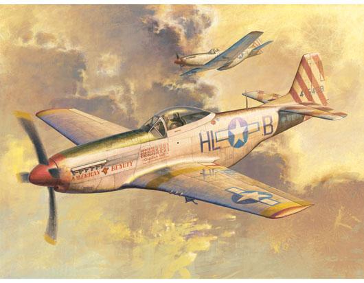 P-51D “野马” 战斗机     02275