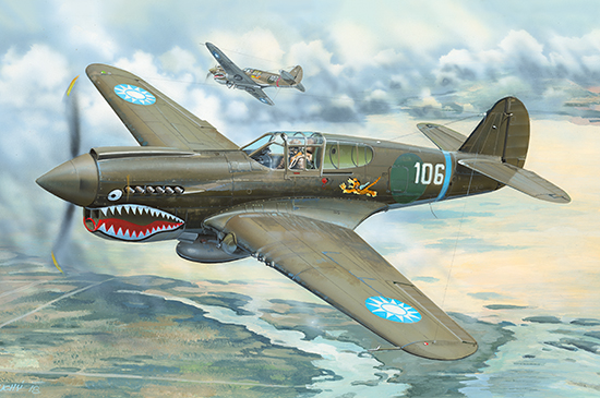 P-40E“战鹰”战斗机 02269